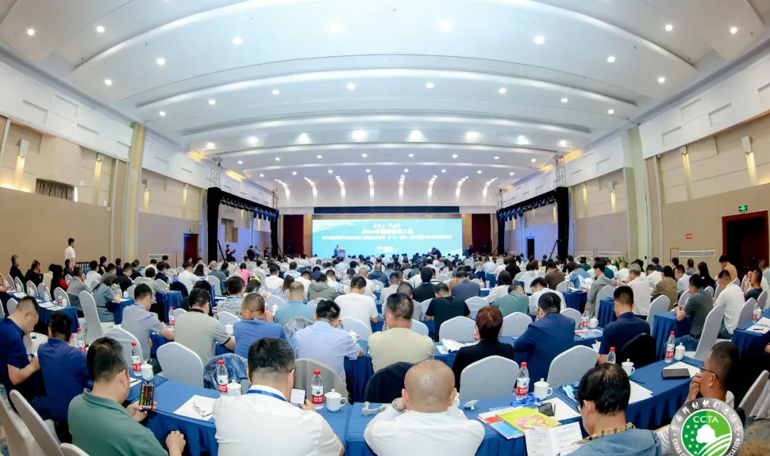 2024中國棉紡織大會暨中棉行協六屆四次理事（擴大）會議舉行 ... ... ...
